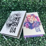 biblia-feminina-e-masculina.webp