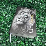 biblia-sagrada-masculina.webp