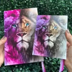 kit-biblias-femininas-mae-e-filha.webp