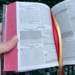 mini-biblia-letras-pequenas-para-crianca.webp