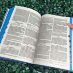 biblia-sagrada-nvi-leao-masculina-capa-dura