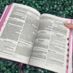 biblia-feminina-palavras-em-destaque-leao-rosa-nvi-indice-hdc