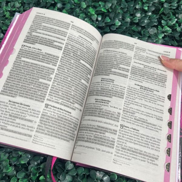 Bíblia Sagrada NVI Leão Rosa Evangélica Letra Média Capa Dura Índice Jovem Fé HDC Herdeiro da Coroa - Imagem 3