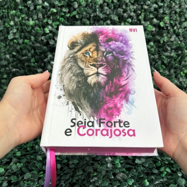 bíblia-sagrada-feminina-capa-dura-forte-corajosa