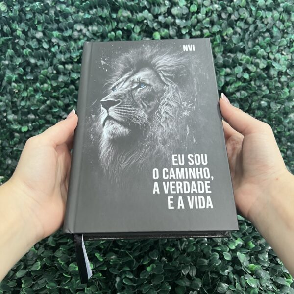 bíblia-sagrada-capa-dura-palavras-de-jesus-em-destaque-evangelica