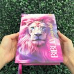biblia-sagrada-feminina-hdc-leao-rosa-capa-dura-hdc