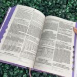 bíblia-sagrada-palavras-de-jesus-em-destaque-indice-herdeiro-da-coroa