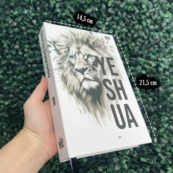 biblia-sagrada-nvi-leao-masculina-capa-dura-yeshua
