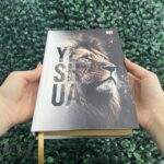biblia-sagrada-nvi-leao-masculina-capa-dura-yeshua-dourada