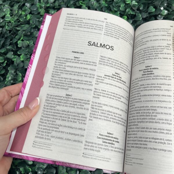 bíblia-sagrada-palavras-de-jesus-em-destaque-indice-herdeiro-da-coroa